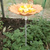 Review photo of Pirateland Family Camping Resort by Andrew S., September 30, 2016