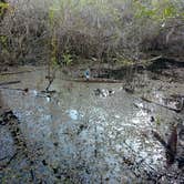 Review photo of Burns Lake Campground — Big Cypress National Preserve by Dave V., October 1, 2016