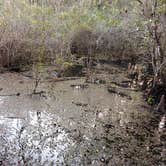 Review photo of Burns Lake Campground — Big Cypress National Preserve by Dave V., October 1, 2016