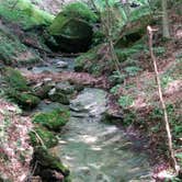 Review photo of Grayson Lake State Park Campground by Andrew S., October 1, 2016