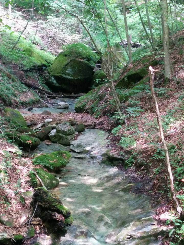 Water