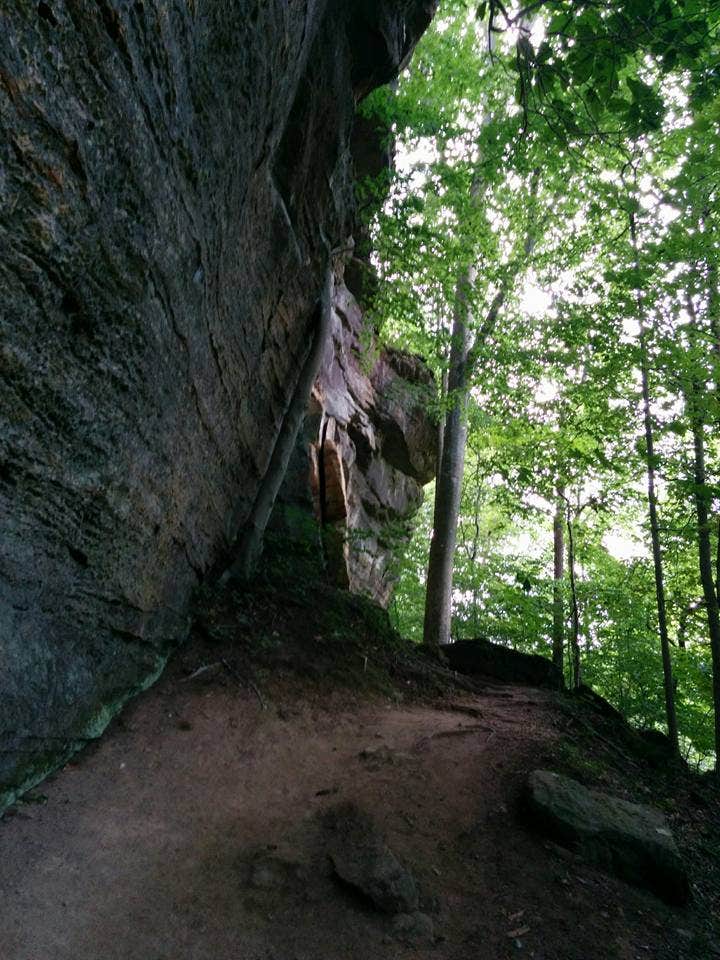 Cabin Creek Camping | Grayson, Kentucky