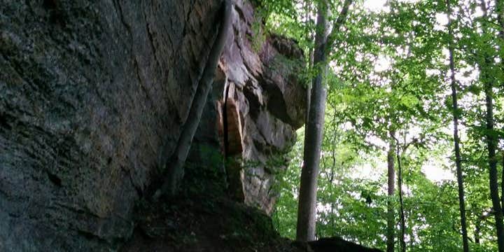 Camper submitted image from Grayson Lake State Park Campground
