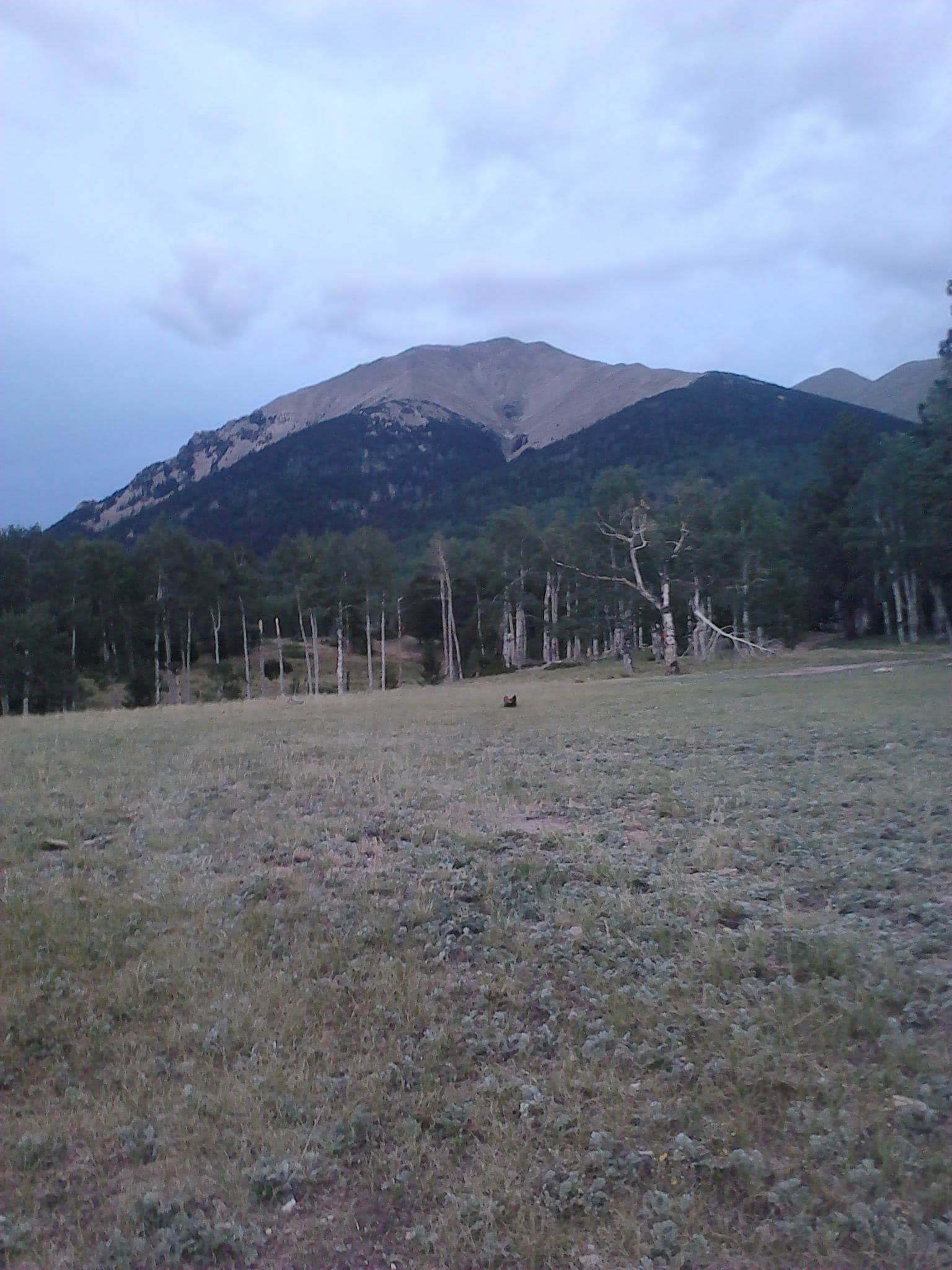 Camper submitted image from Mount Shavano and Mount Tabequache - 2