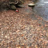 Review photo of Cuyahoga Valley National Park - CAMPING NO LONGER OFFERED by Shelly S., July 14, 2016