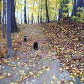 Review photo of Cuyahoga Valley National Park - CAMPING NO LONGER OFFERED by Shelly S., July 14, 2016