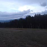 Review photo of Mount Shavano and Mount Tabequache by Allison D., June 14, 2016