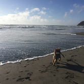 Review photo of Cape Disappointment State Park Campground by Kayko S., October 1, 2016