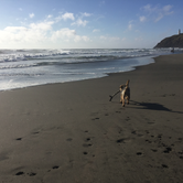 Review photo of Cape Disappointment State Park Campground by Kayko S., October 1, 2016