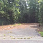 Review photo of Poplar Point Campground — Jordan Lake State Recreation Area by Daniel P., October 1, 2016