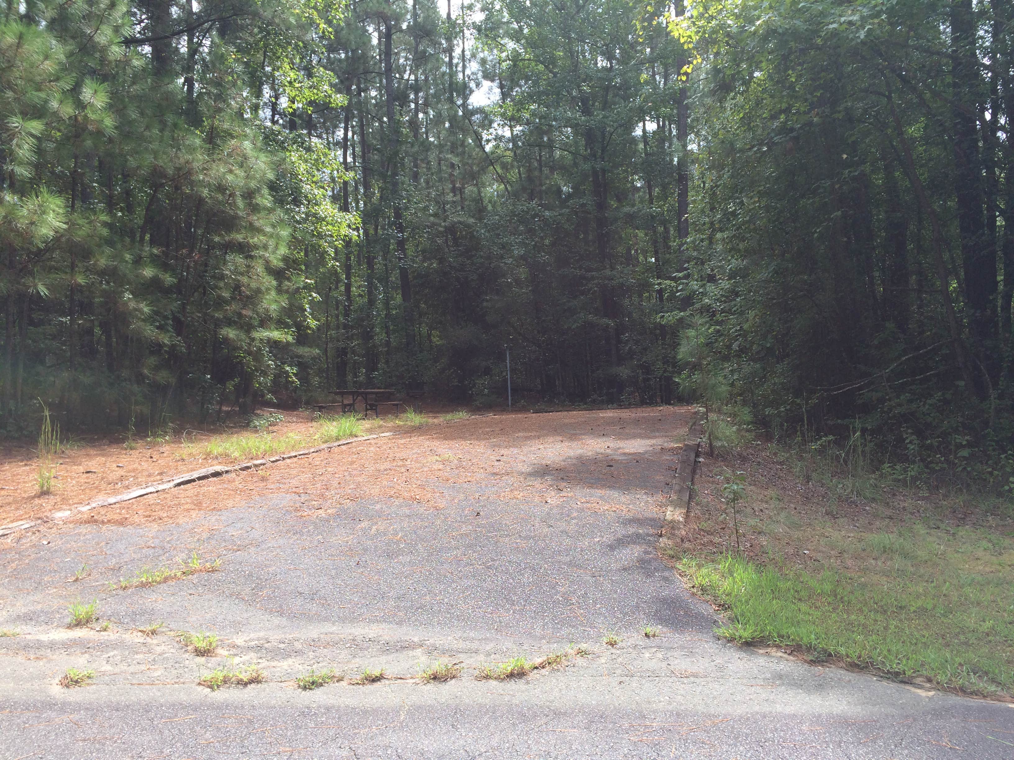 Camper submitted image from Poplar Point Campground — Jordan Lake State Recreation Area - 4