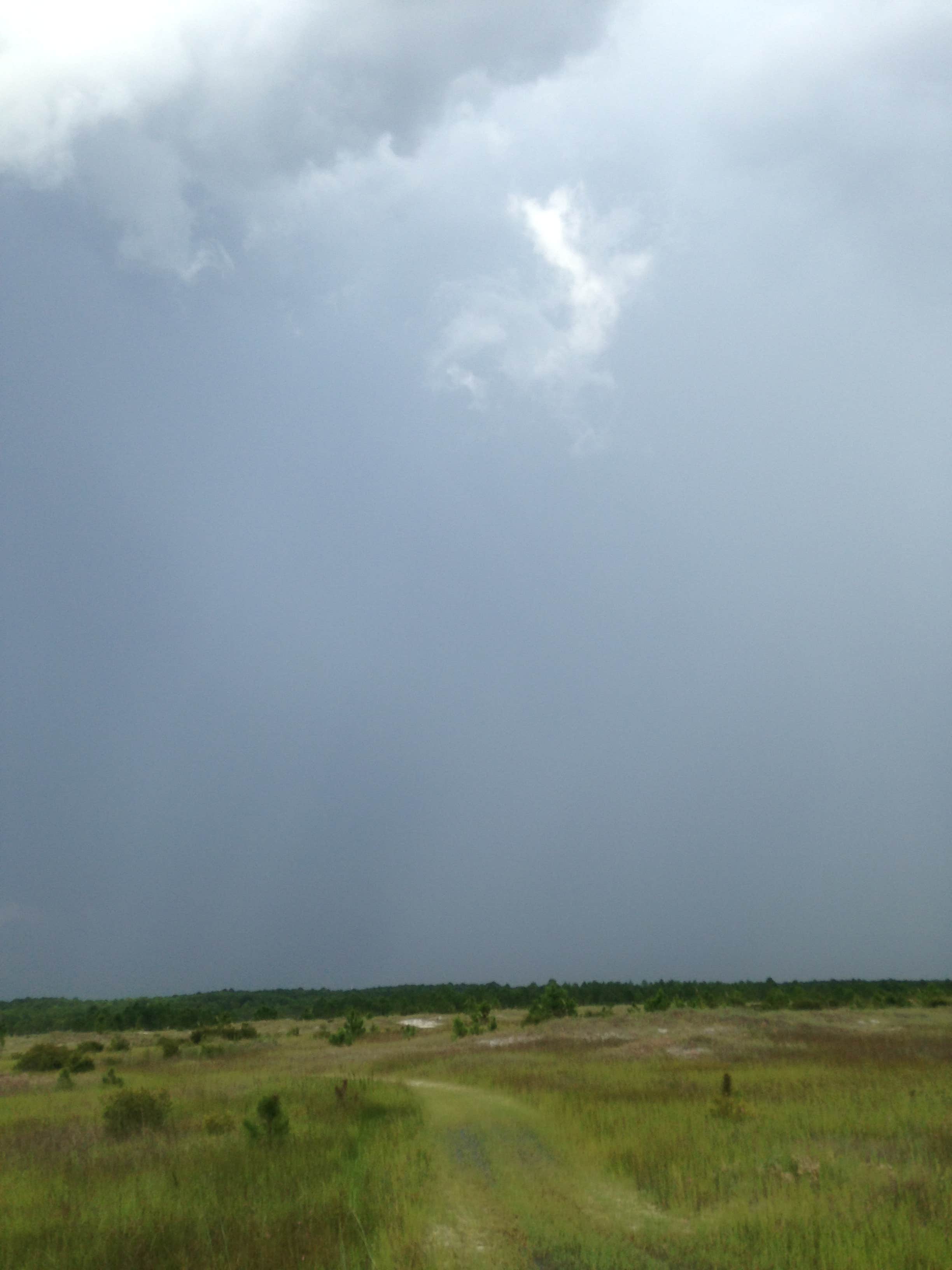Camper submitted image from Edward Madigan State Fish and Wildlife Area - 1