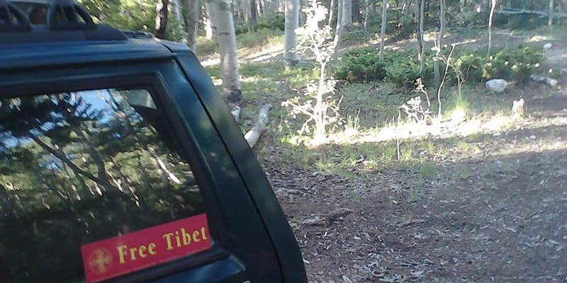 Camper submitted image from Mount Shavano and Mount Tabequache