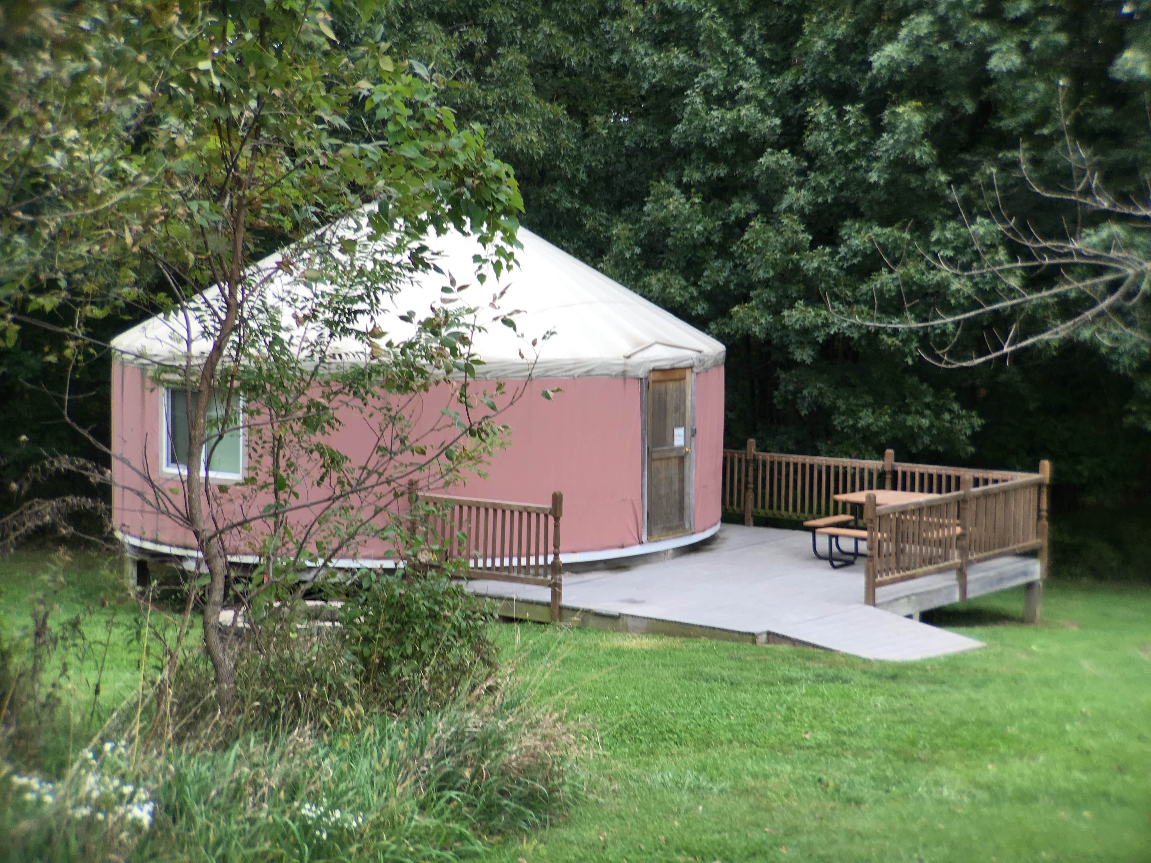 Camper submitted image from Pammel County Park - 4