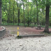 Review photo of Pammel County Park by Matt S., October 1, 2016