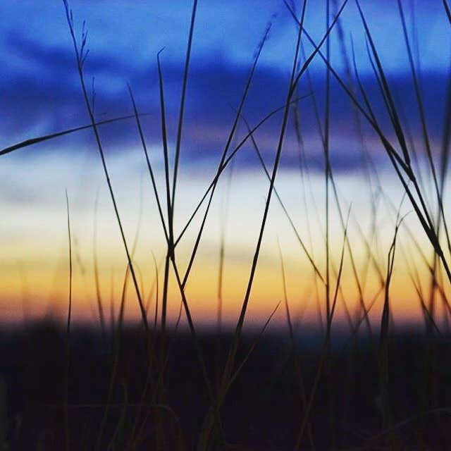 Camper submitted image from Darwin's Place Wilderness Campground — Everglades National Park - 1