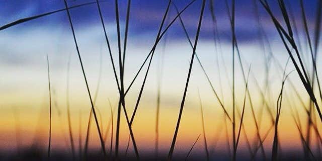 Camper submitted image from Darwin's Place Wilderness Campground — Everglades National Park