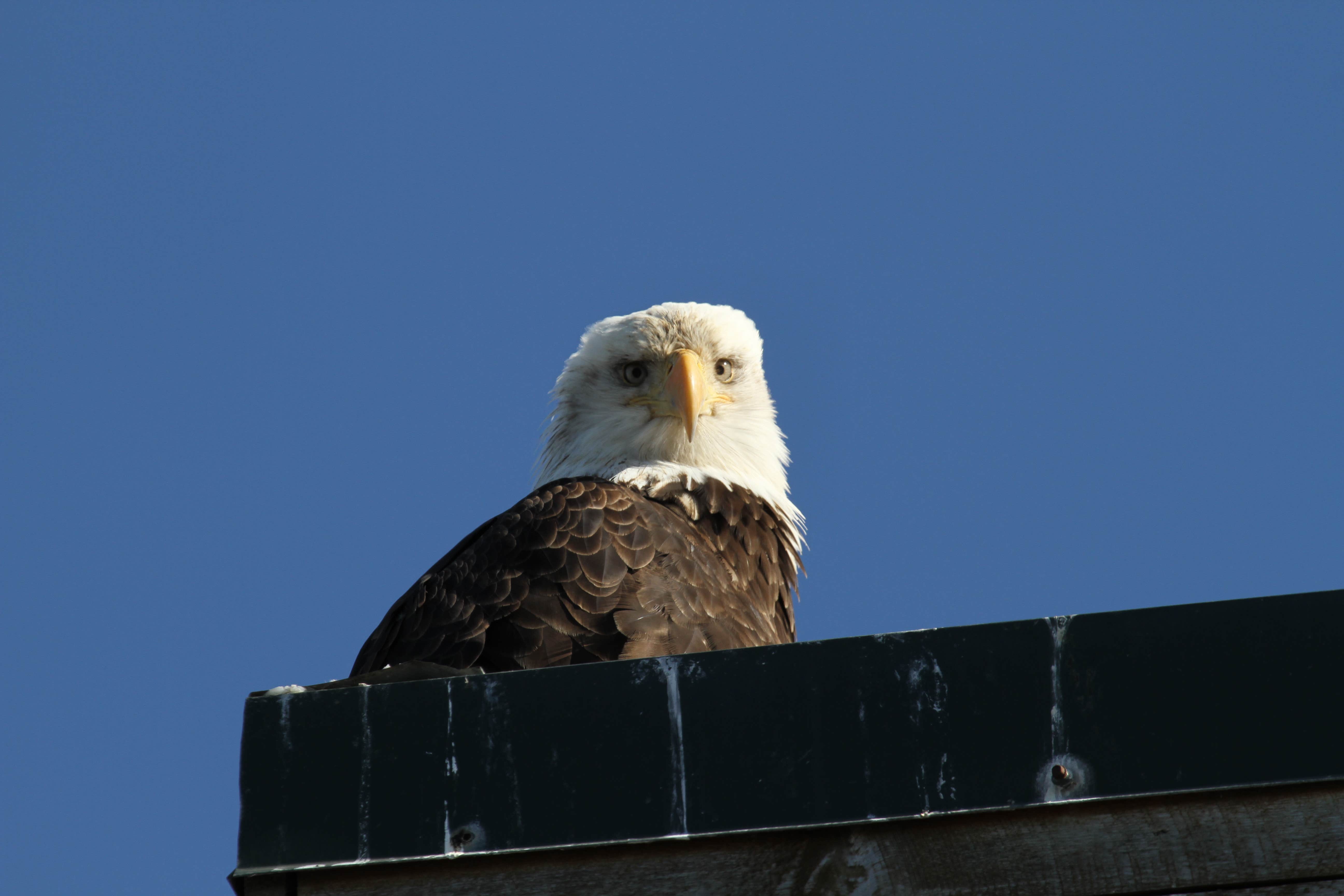 Camper-submitted photo at Homer Spit Campground in Alaska