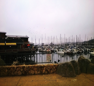 Camper-submitted photo from Santa Cruz/Monterey Bay KOA Holiday