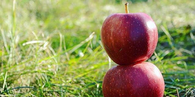 Camper submitted image from Vilas Campsite