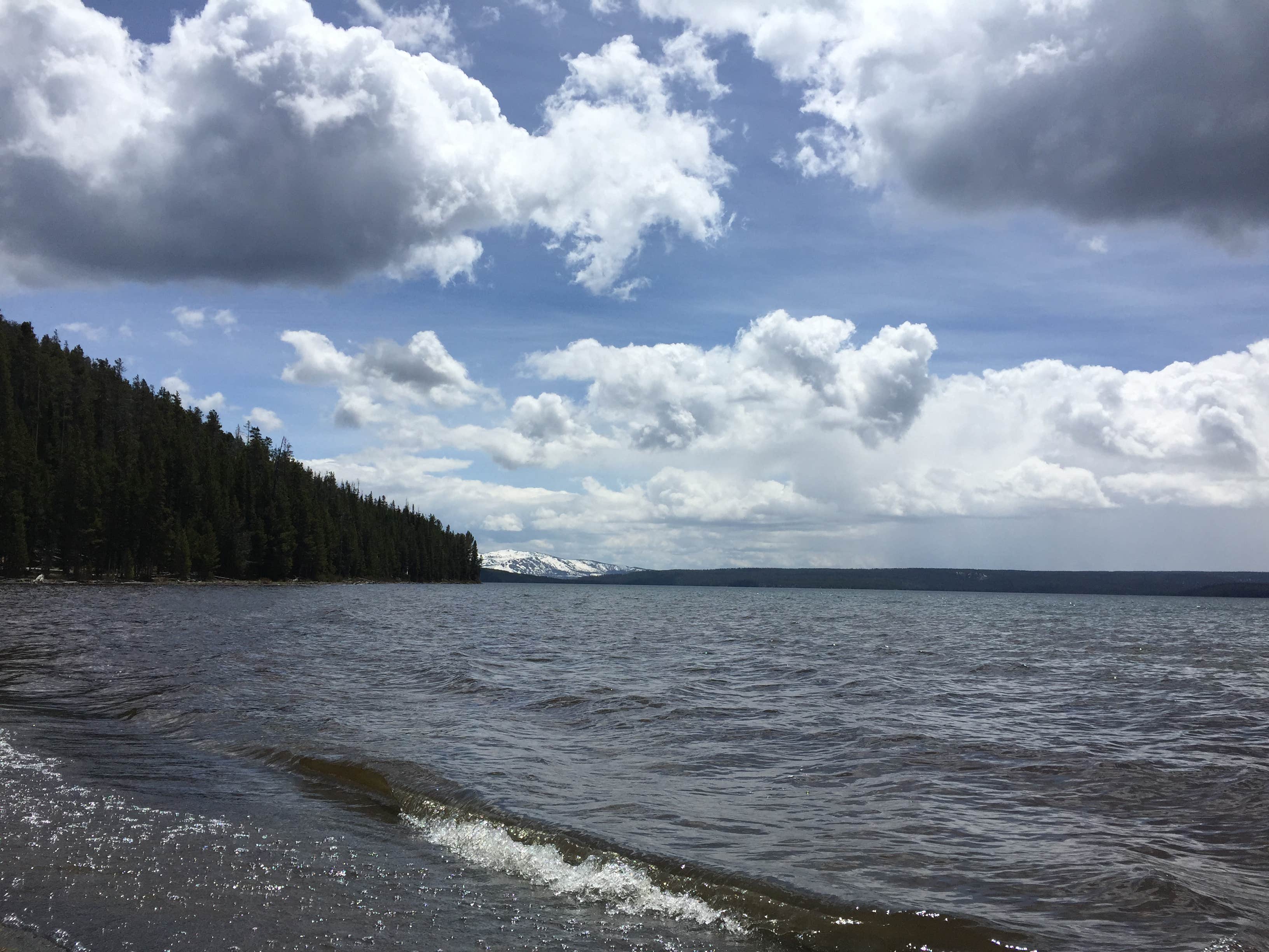 Camper submitted image from Lewis Lake — Yellowstone National Park - 2