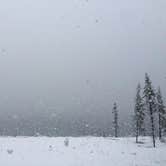 Review photo of Lewis Lake — Yellowstone National Park by Ellen F., October 1, 2016