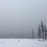 Review photo of Lewis Lake - Yellowstone National Park — Yellowstone National Park by Ellen F., October 1, 2016