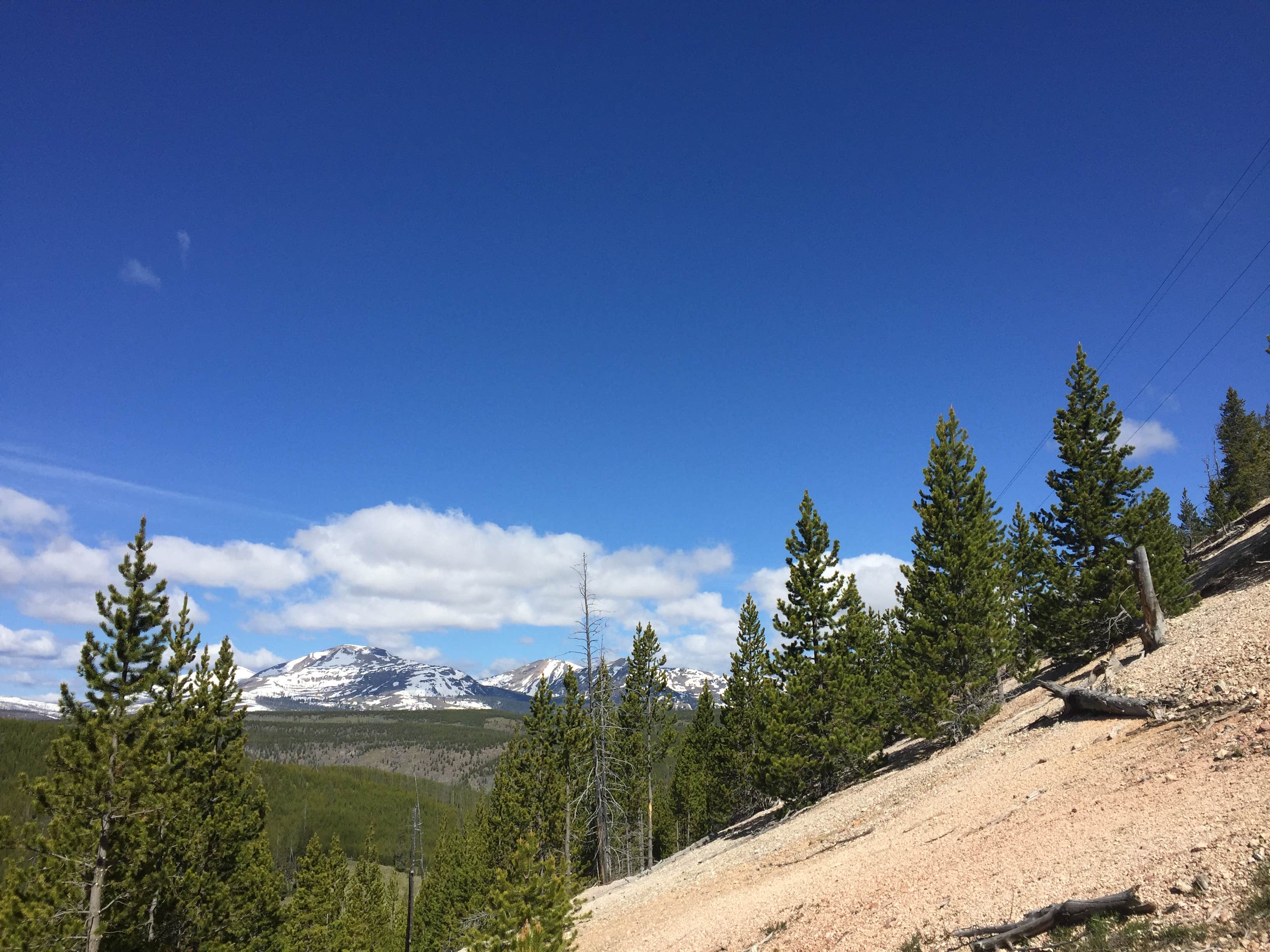 Camper submitted image from Lewis Lake — Yellowstone National Park - 4