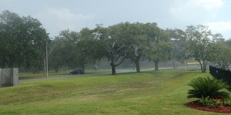 Camper submitted image from Sapling Head Campsite
