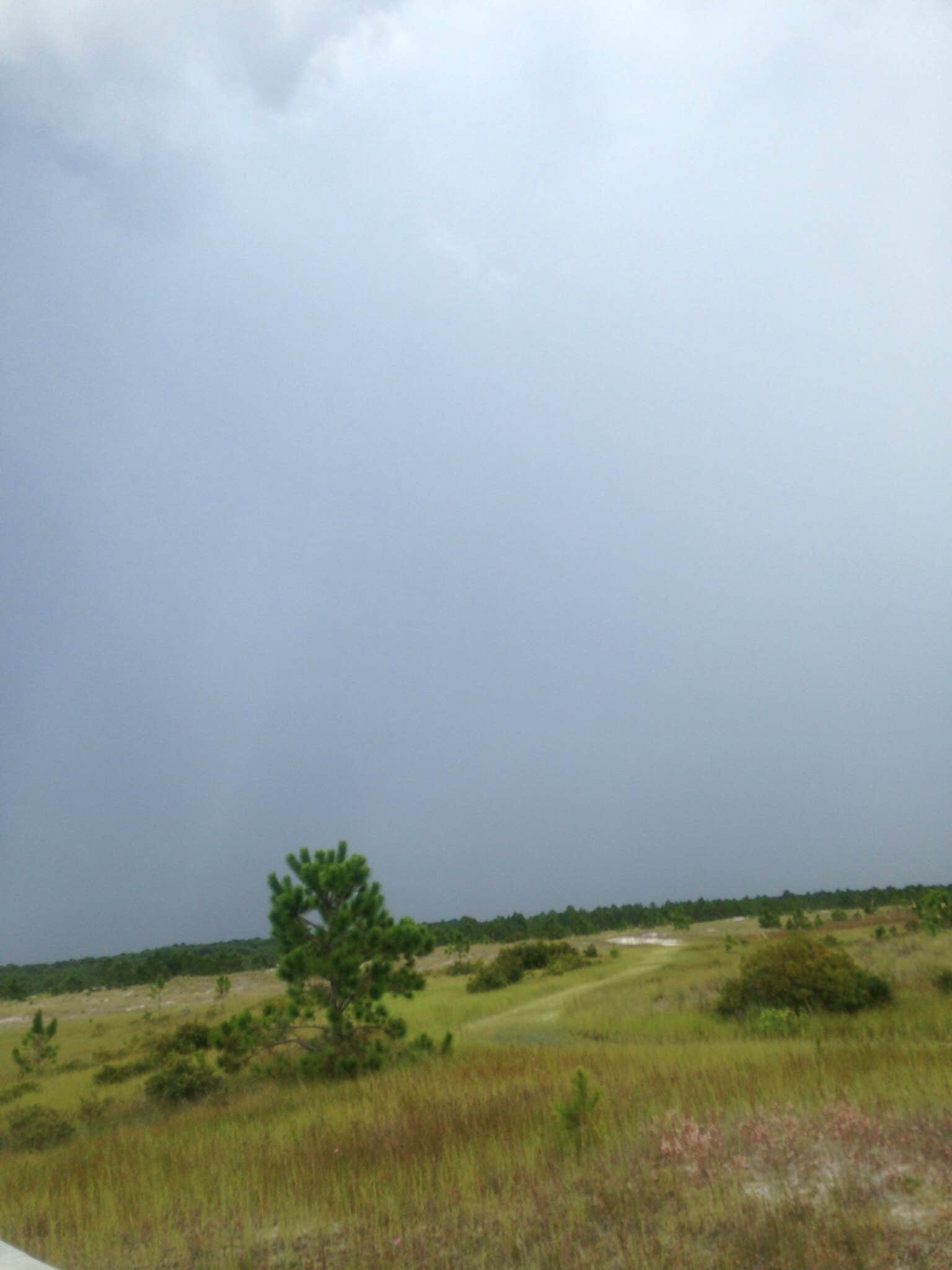 View All
