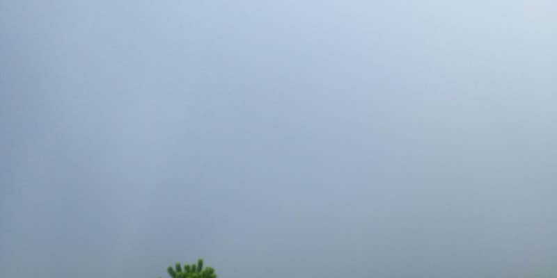 Camper submitted image from Iowa Lake Co Park