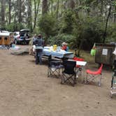 Review photo of Abalone Campground — Sue-meg State Park by Corinna B., October 1, 2016