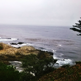 Review photo of Pfeiffer Big Sur State Park Campground by Jiwon K., October 1, 2016