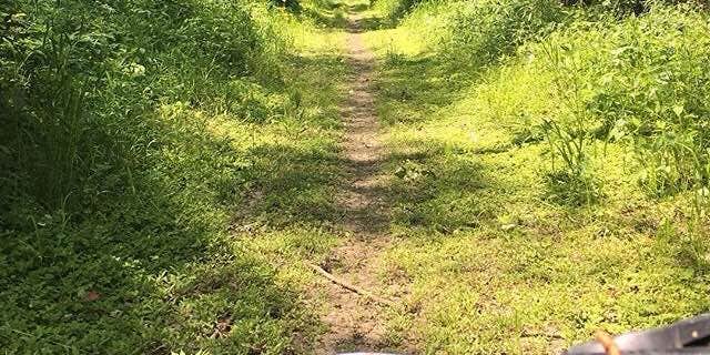 Camper submitted image from Mt. Hersey Primative Campground — Buffalo National River