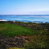 Review photo of Morro Bay State Park Campground by Jiwon K., October 1, 2016