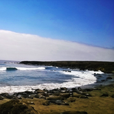 Review photo of Morro Bay State Park Campground by Jiwon K., October 1, 2016