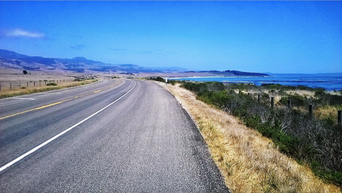 Camper submitted image from Morro Bay State Park Campground - 3