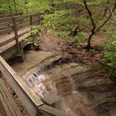 Review photo of Starved Rock Campground — Starved Rock State Park by Leah H., October 1, 2016