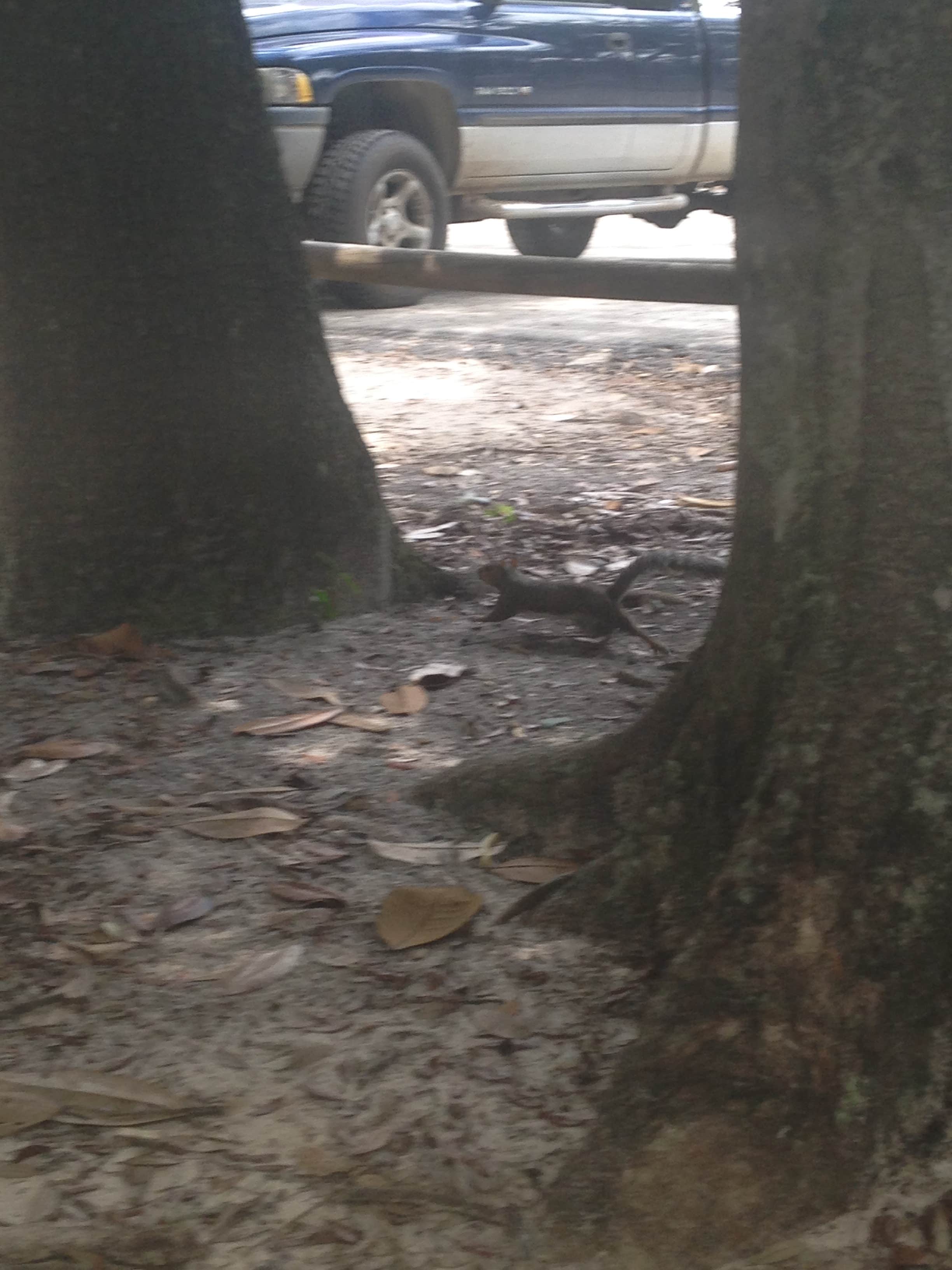Camper-submitted photo at Spring Valley Cabin Bunkhouse near Bellemont, AZ