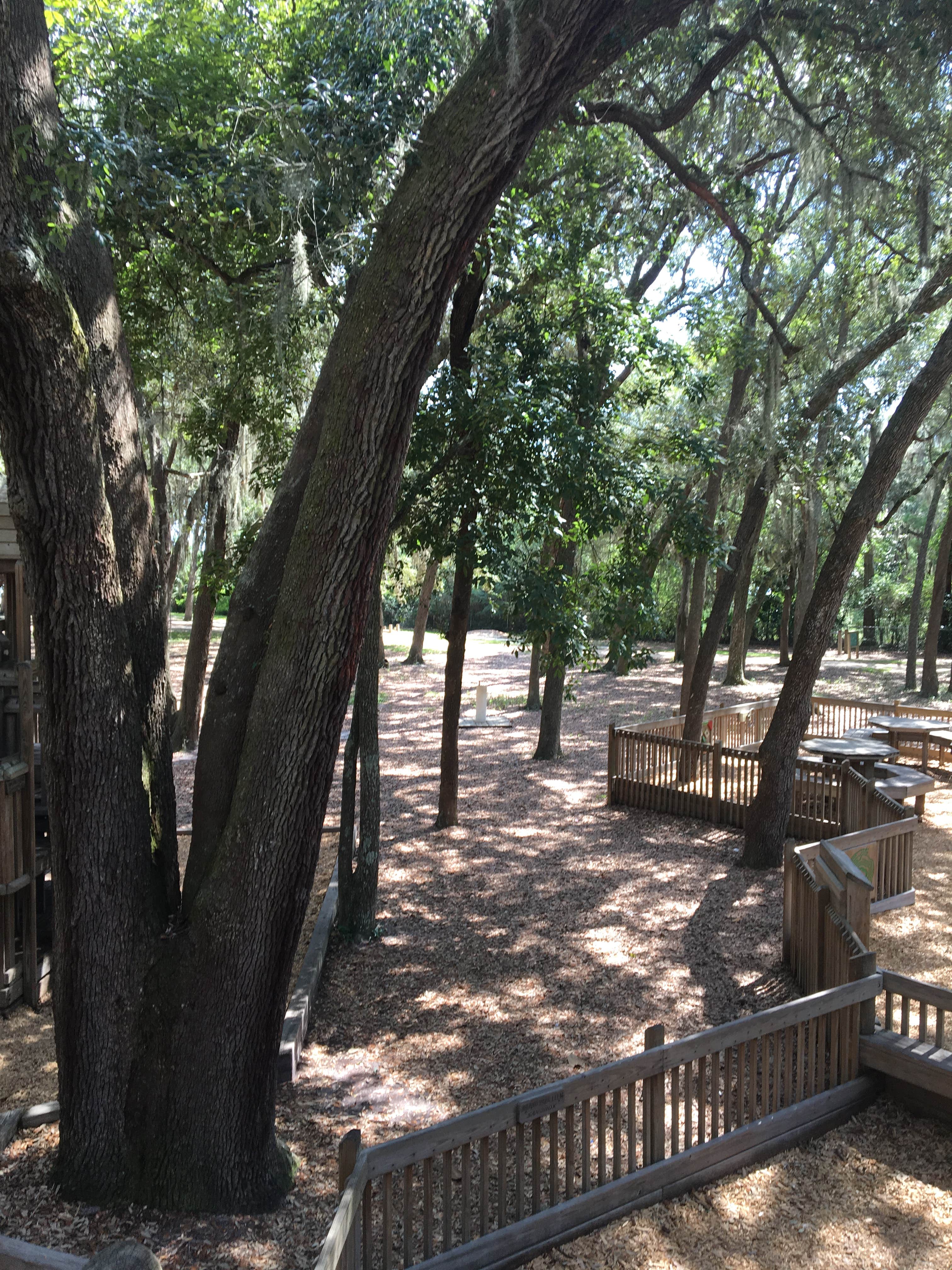 Camper submitted image from Blackwell Family Campground - 4