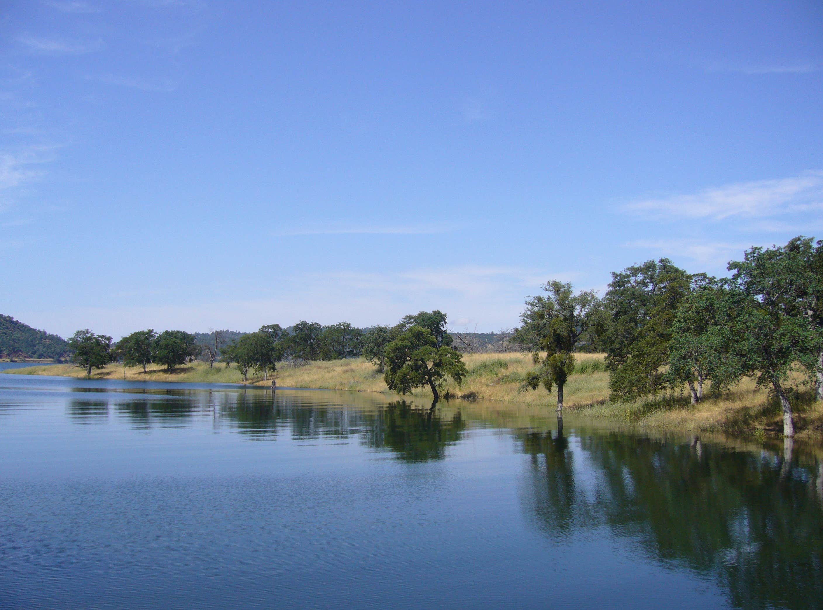 Camper submitted image from Parker Creek - 4