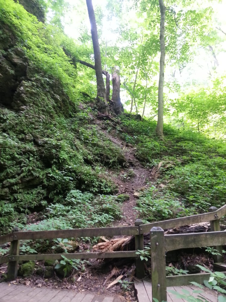 Camper submitted image from Maquoketa Caves State Park - 4