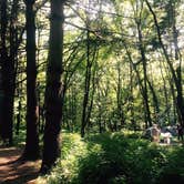 Review photo of Maquoketa Caves State Park Campground by jasmine L., October 1, 2016
