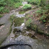 Review photo of Starved Rock Campground — Starved Rock State Park by Abbey F., June 14, 2016