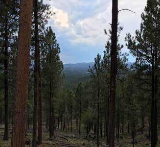 Camper-submitted photo from Horse Thief Campground and RV Resort