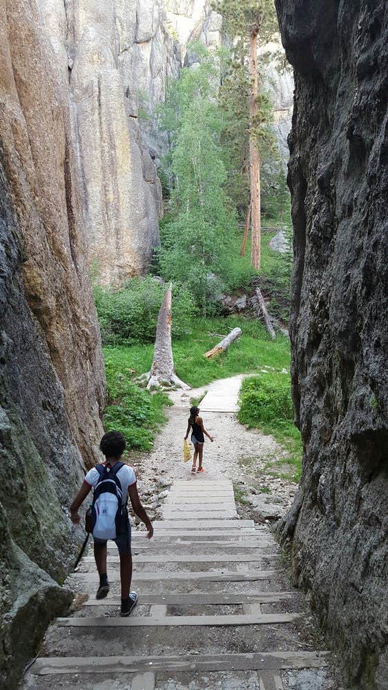 Camper submitted image from Stockade North Campground — Custer State Park - 2