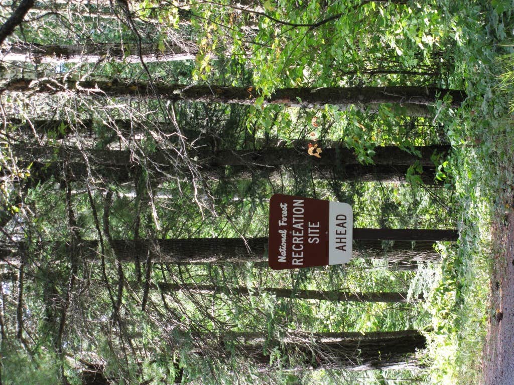 Camper submitted image from Baker Lake Rustic Campground - 1