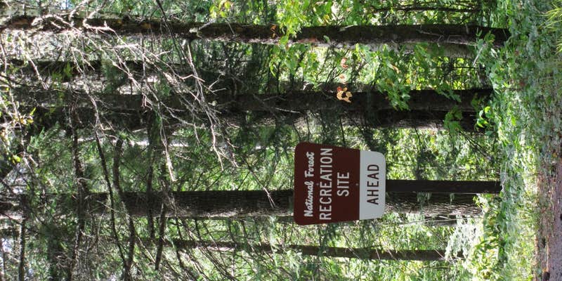 Camper submitted image from Baker Lake Rustic Campground