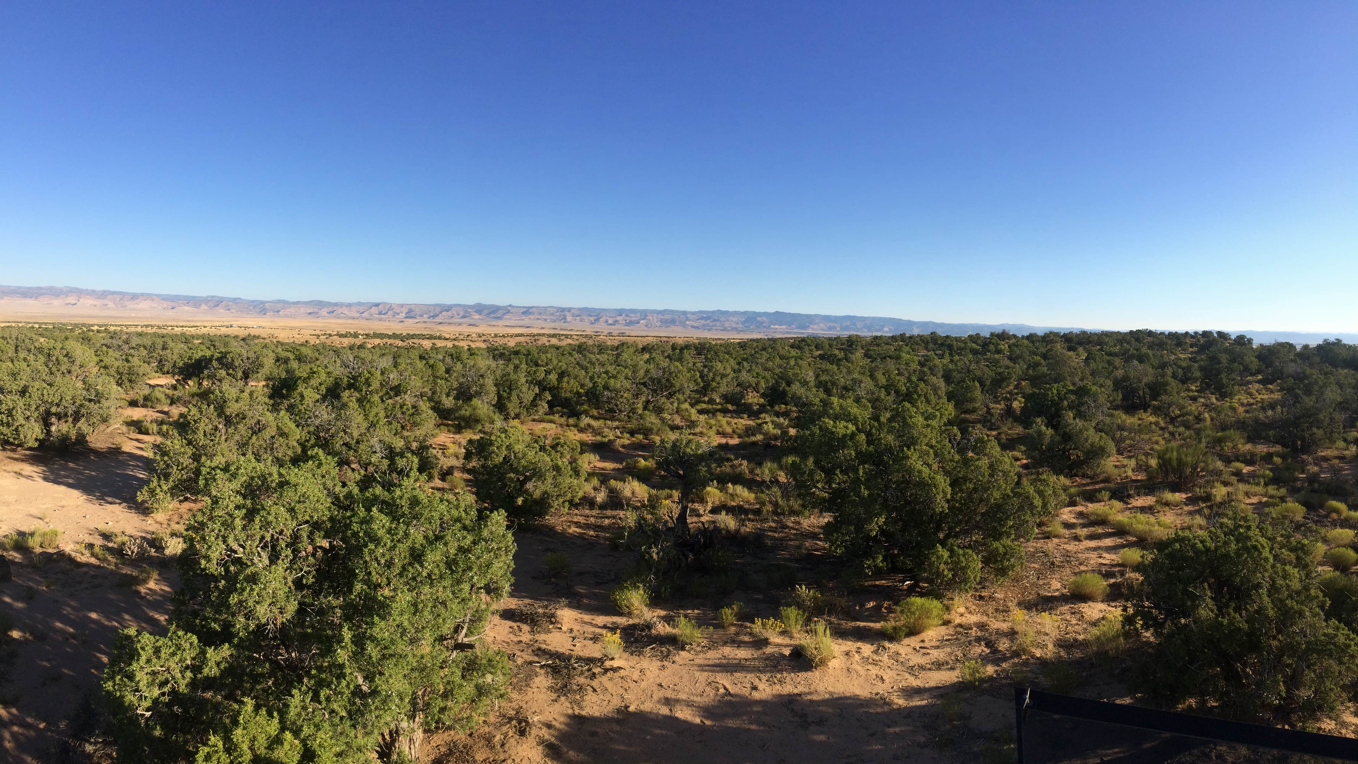 Camper submitted image from Kokopelli Trail Campsite - 3