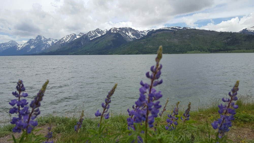 Camper submitted image from Gros Ventre Campground — Grand Teton National Park - 4